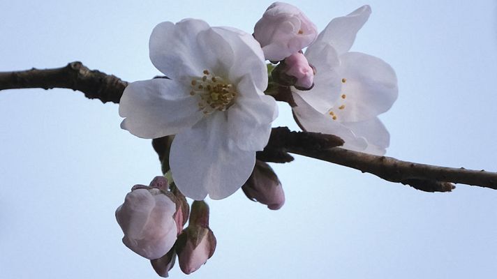 El tiempo - Cielos poco nubosos o despejados, con nubes altas en Andalucía, Ceuta y Melilla