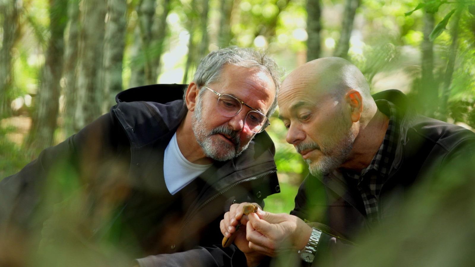 El señor de los bosques - Bosque de Fervenza - ver ahora