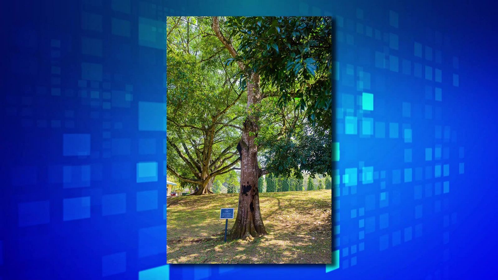 Saber y ganar - 15/03/21 - ver ahora