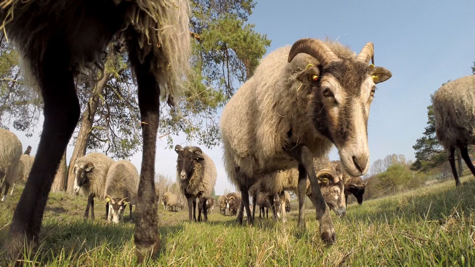 Somos documentales - Lagos mágicos - ver ahora