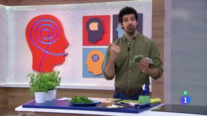 RTVE Cocina - Miguel Ángel Muñoz nos explica cómo conservar hierbas aromáticas