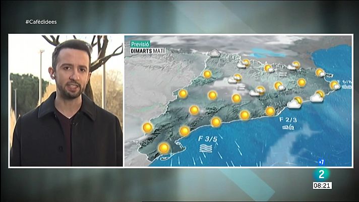 Cafè d'idees - Fred matinal i suavitat al migdia