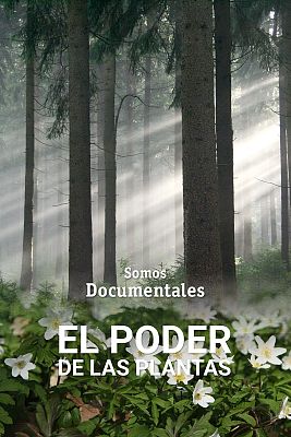 El poder de las plantas