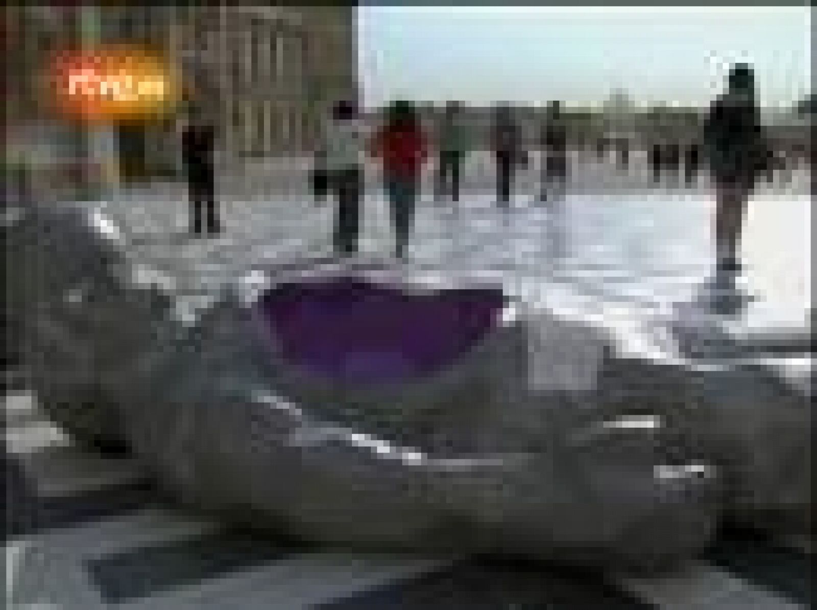 El Palacio de Versalles expone ocho creaciones del escultor francés Xavier Veilhan | Ver