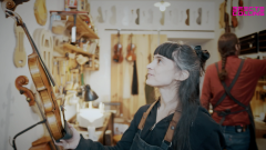 Efecte Collins - Quartet Brossa i els artesans lutiers