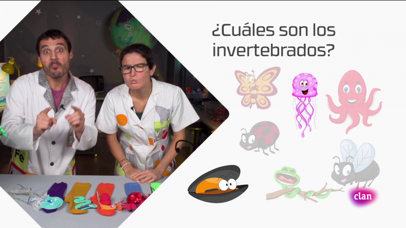 CIENCIAS NATURALES - Invertebrados