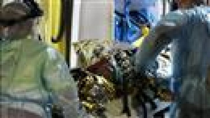 Telecanarias - Telecanarias - 17/03/2021