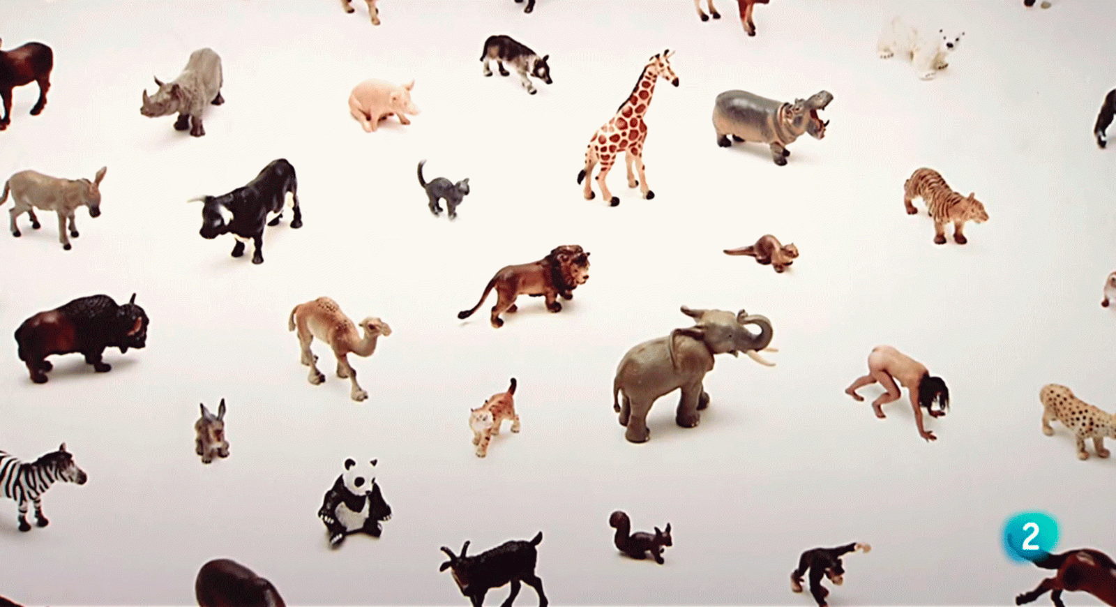 momento atemporal INJUVE Tabacalera #AventuraSaberArte