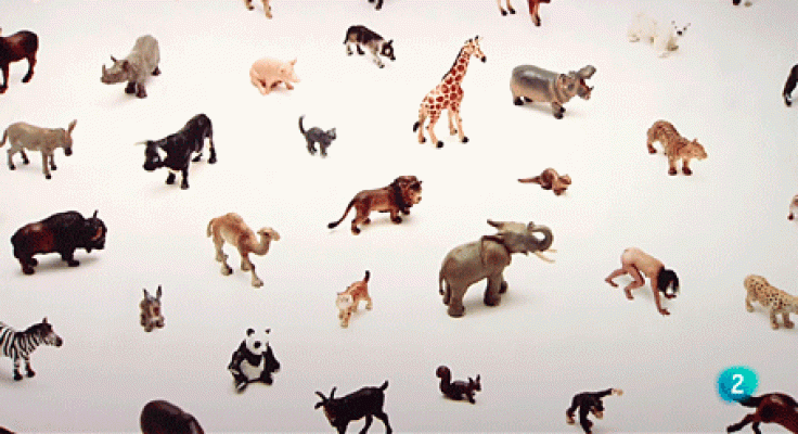 La aventura del Saber - Un momento atemporal. 35 años del INJUVE