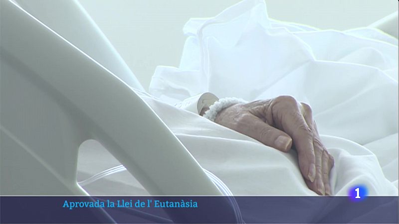 El Congrés aprova definitivament la Llei de l'eutanàsia