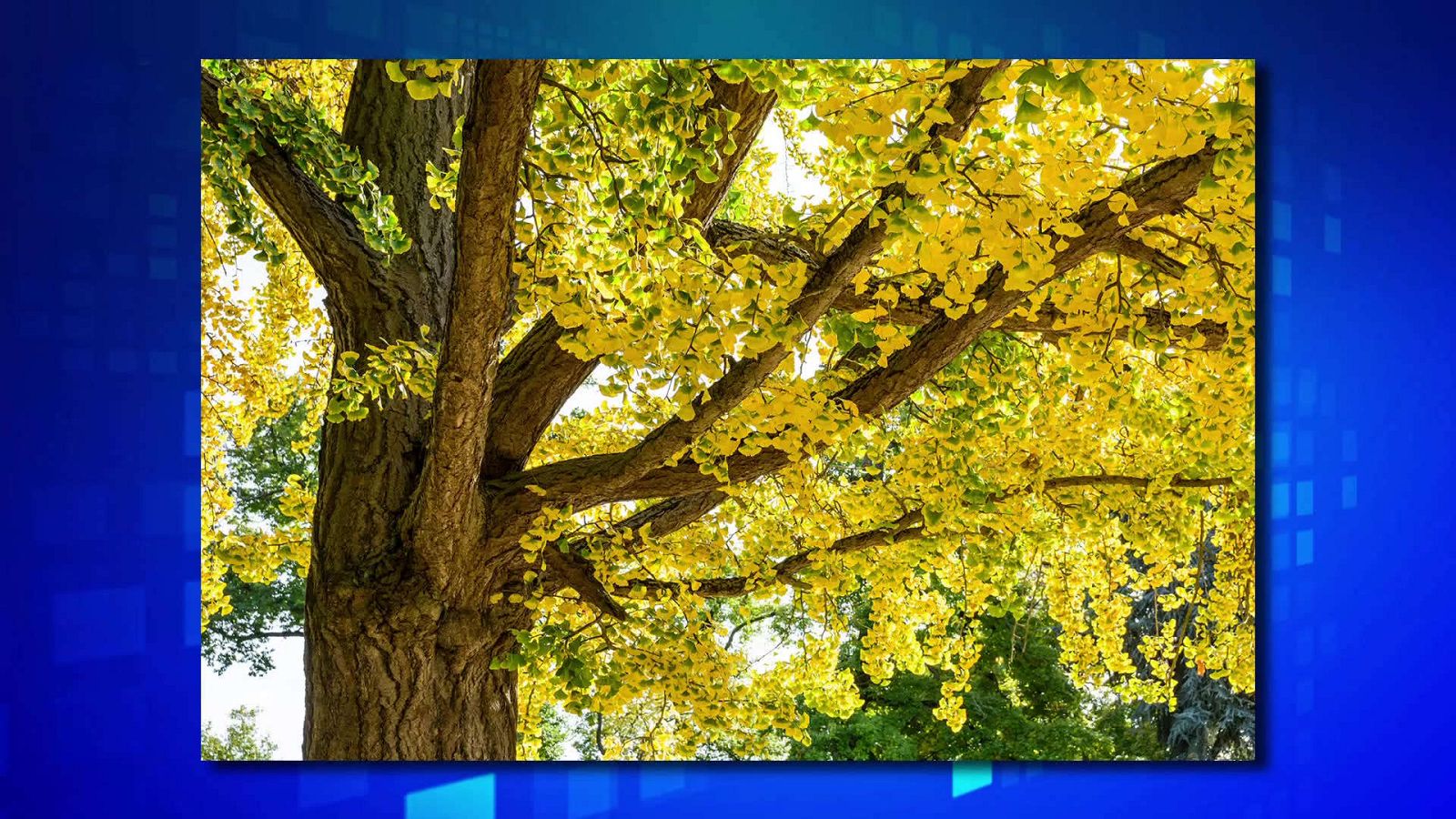 Saber y ganar - 18/03/21 - ver ahora