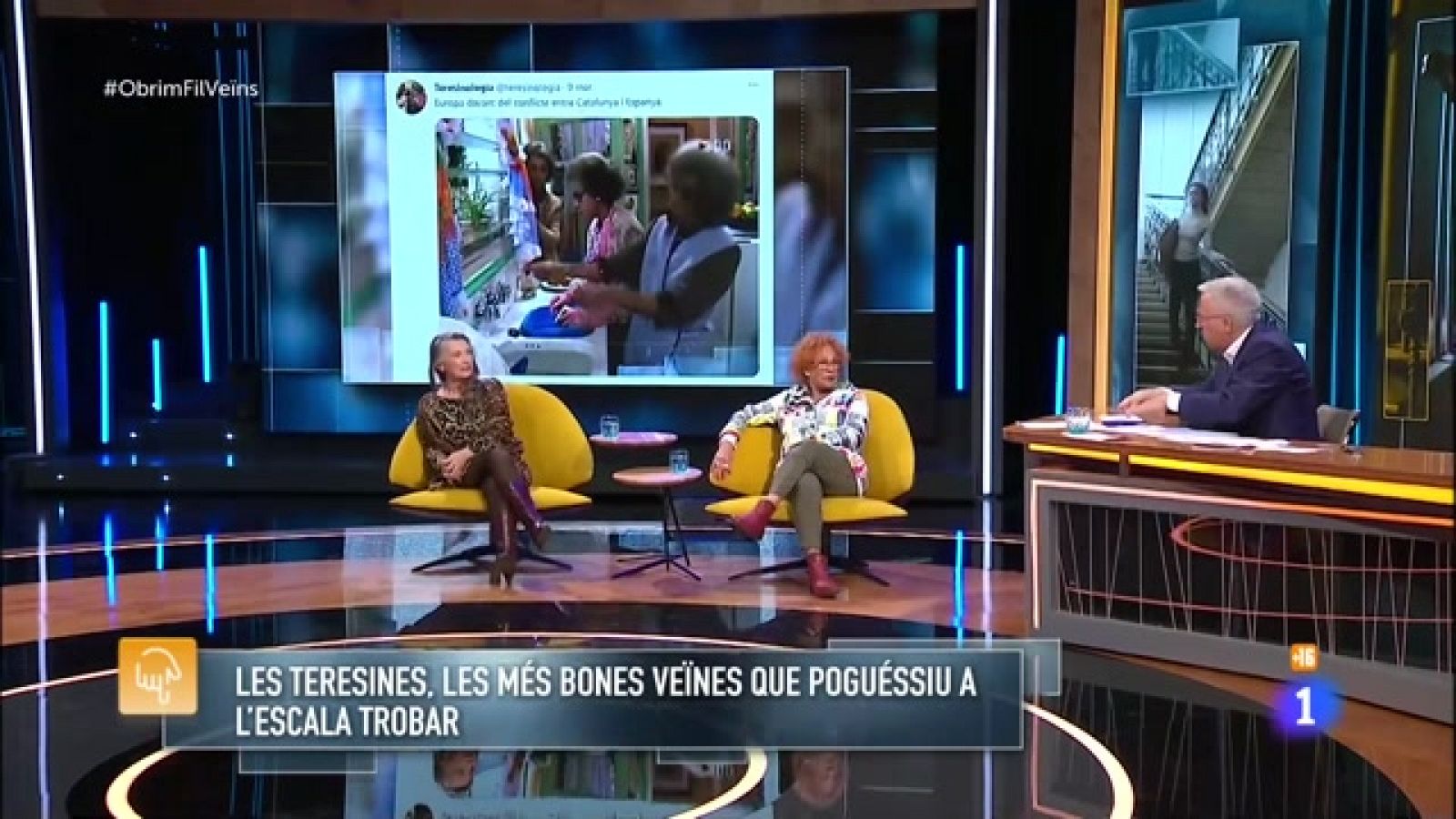 Obrim fil - Les Teresines tornen a la tele - RTVE Catalunya