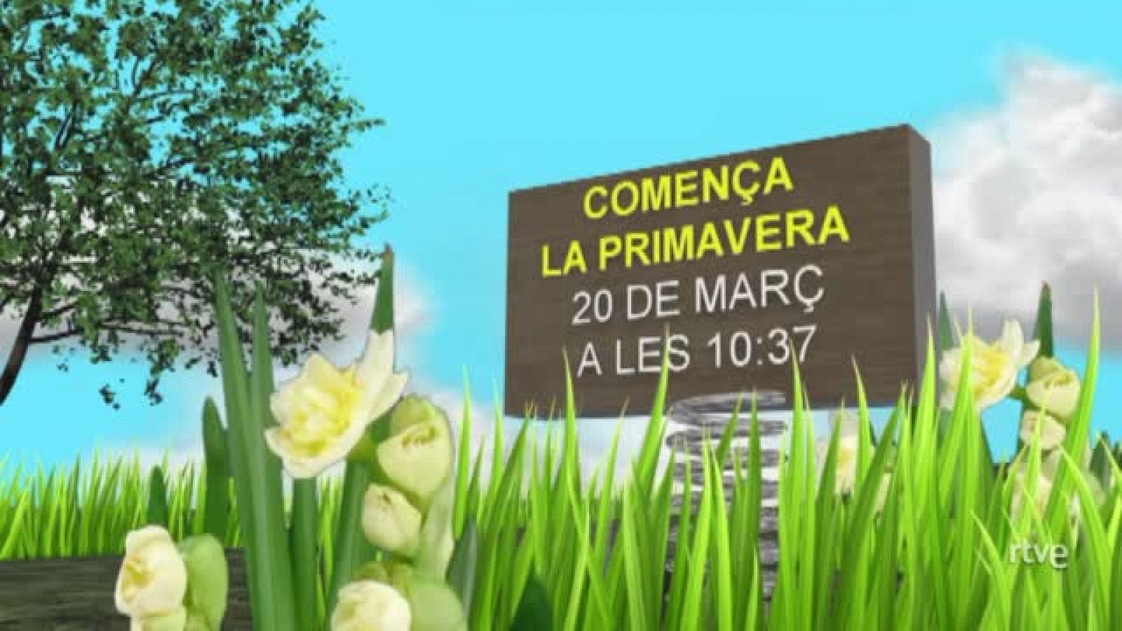 El dissabte 20 de març arriba la primavera | Veure
