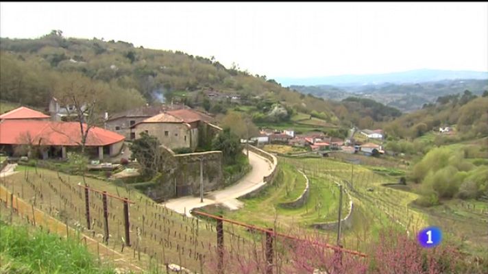 Telexornal - Galicia - Visitas enoturísticas no Ribeiro
