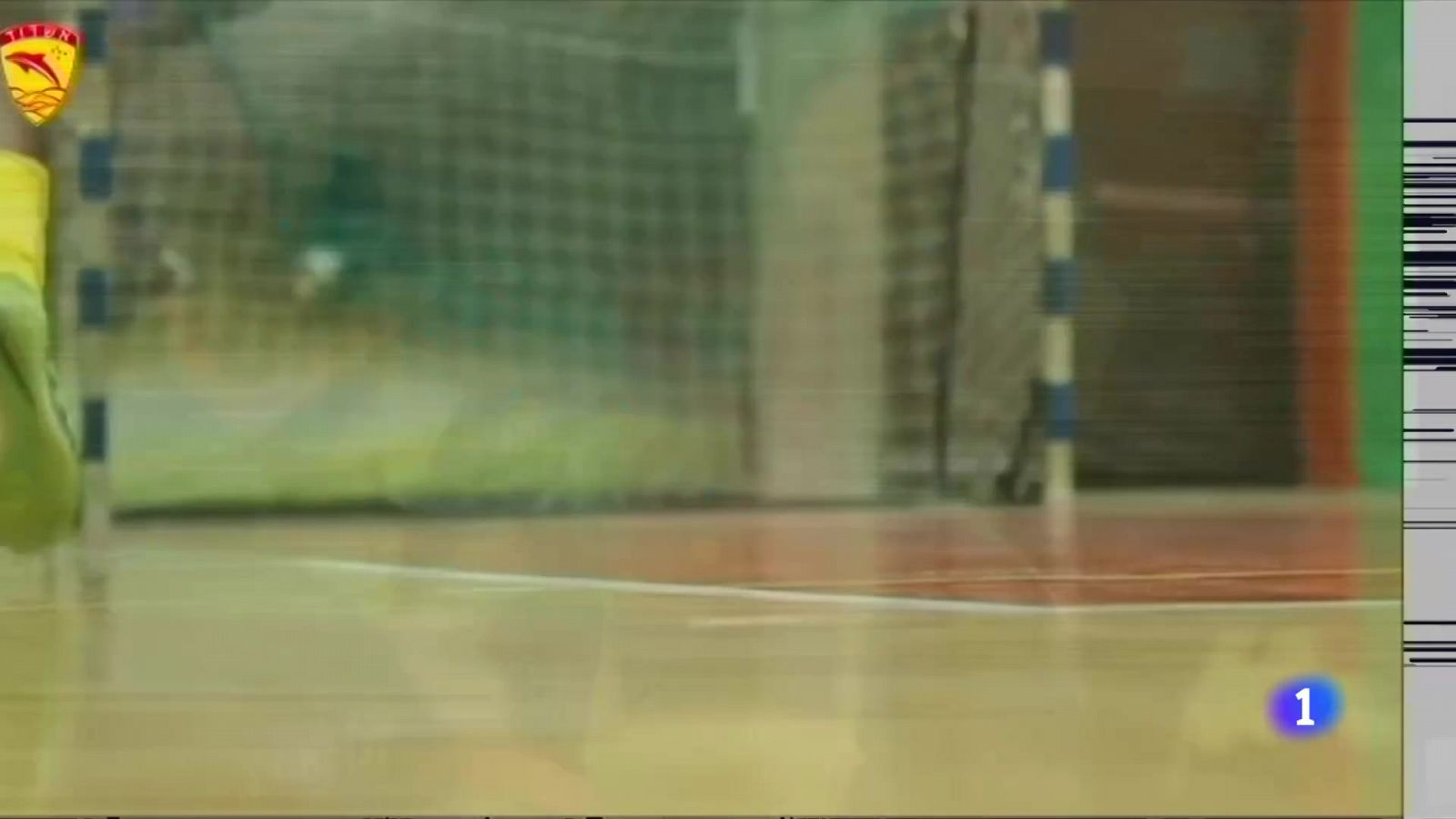 Los Dolphins Ashdod: deporte inclusivo de élite en Israel | Ver