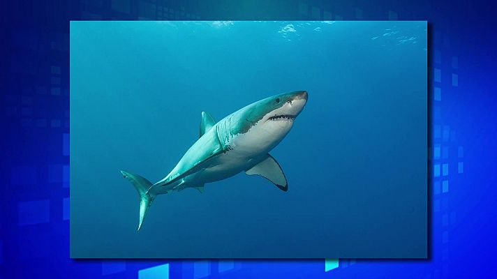 Saber y ganar - Saber y ganar. Edición de fin de semana - 20/03/21