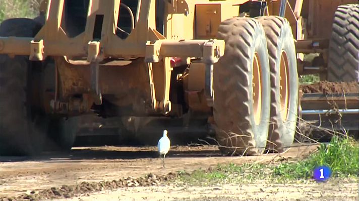 L'Informatiu - El ciment ofega el Delta del Llobregat