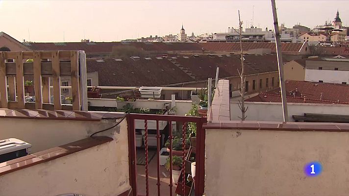 Telediario 1 - Huertos urbanos