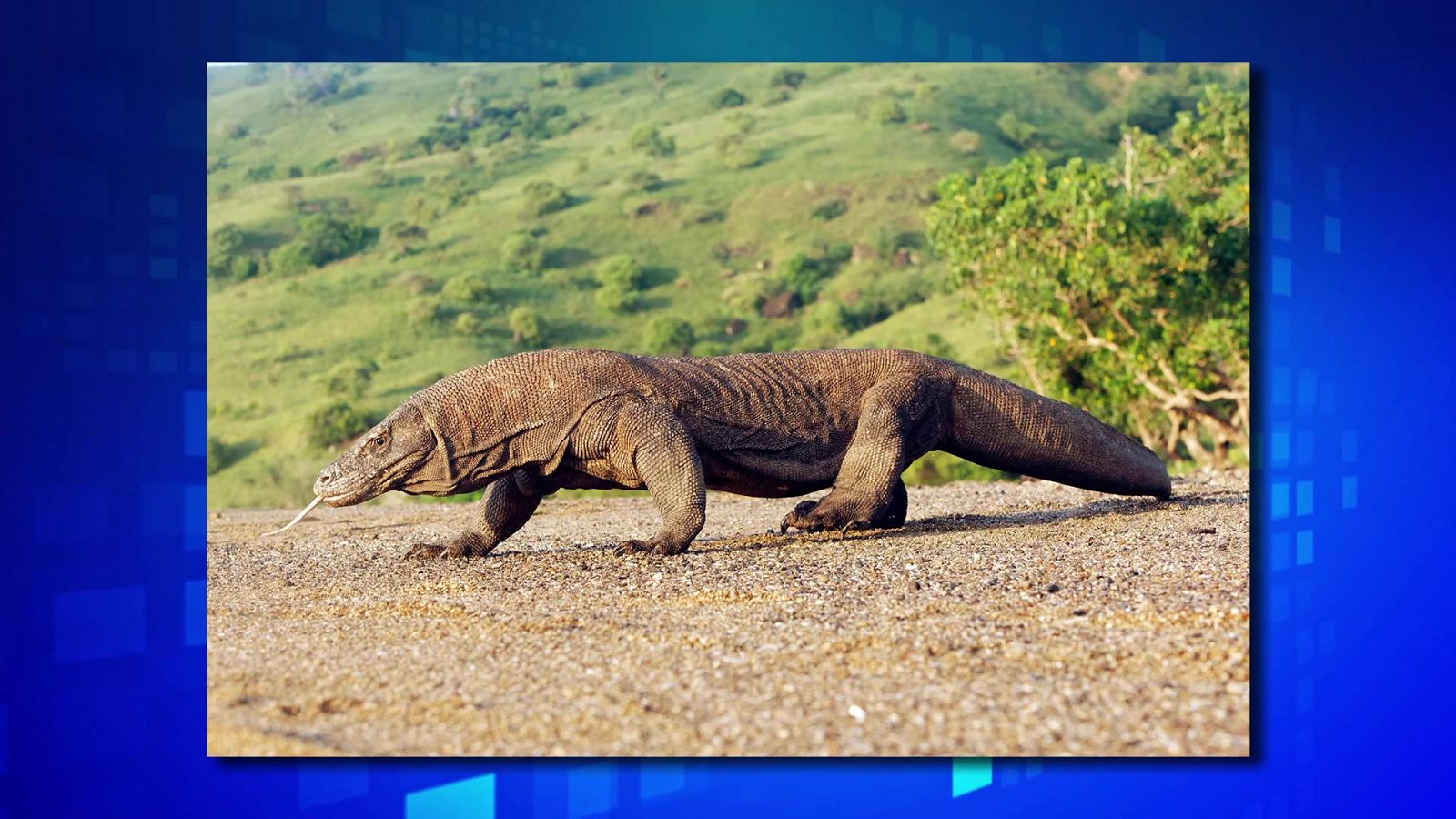 Saber y ganar. Edición de fin de semana - 21/03/21 - ver ahora