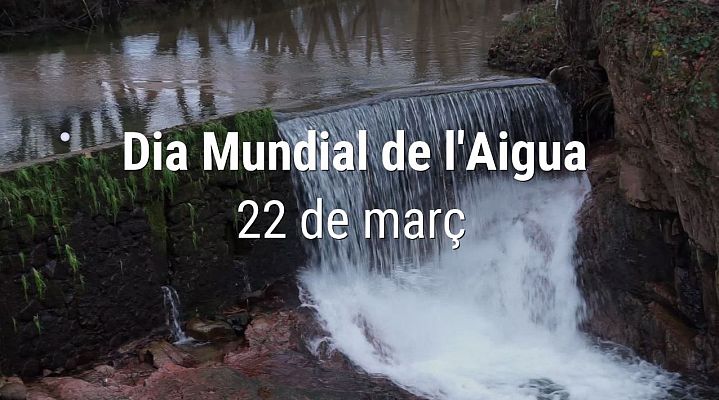 Dia Mundial de l'Aigua