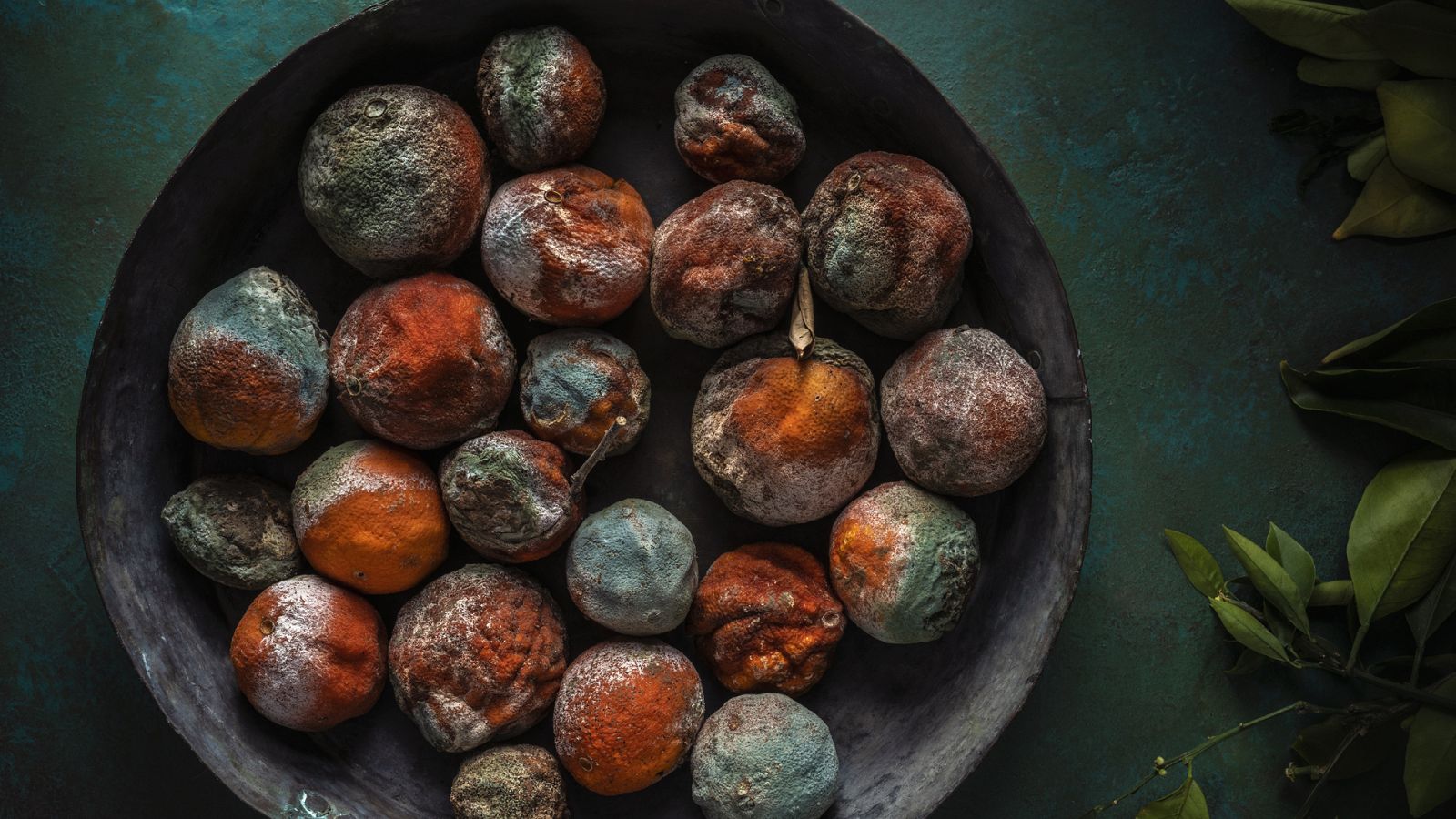 Así incauta la Guardia Civil alimentos en mal estado - La hora de La 1 | Ver