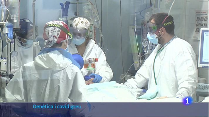 L'Informatiu - Una resposta inflamatòria elevada augmenta els pacients de Covid-19 a les UCI