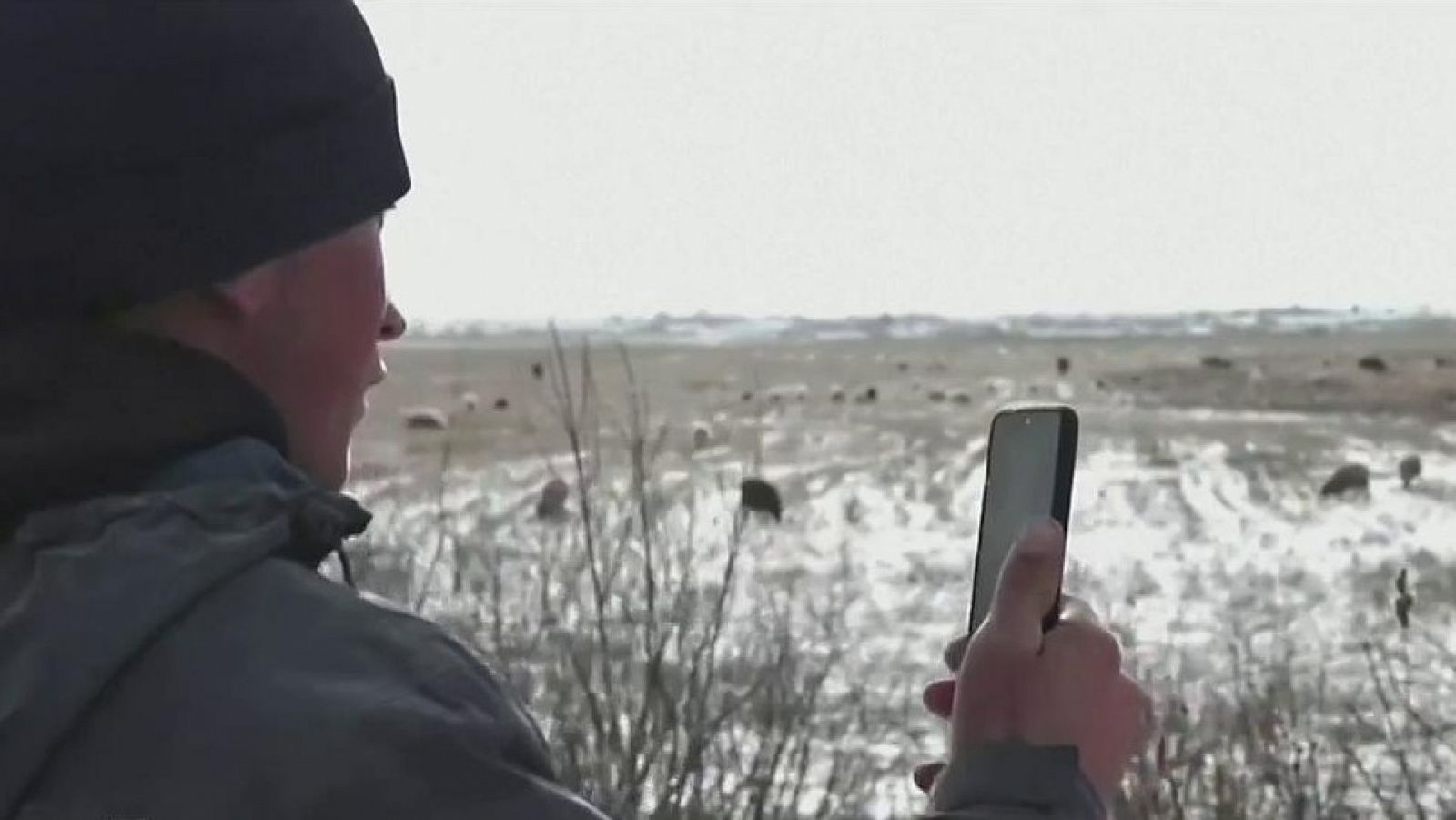 La aldea siberiana del "estudiante del arbol" ya tiene internet