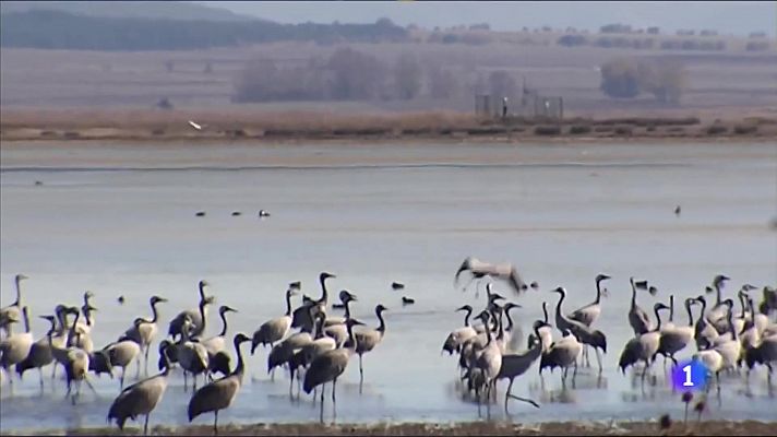 Noticias Aragón - Aragón cuenta con 240 humedales