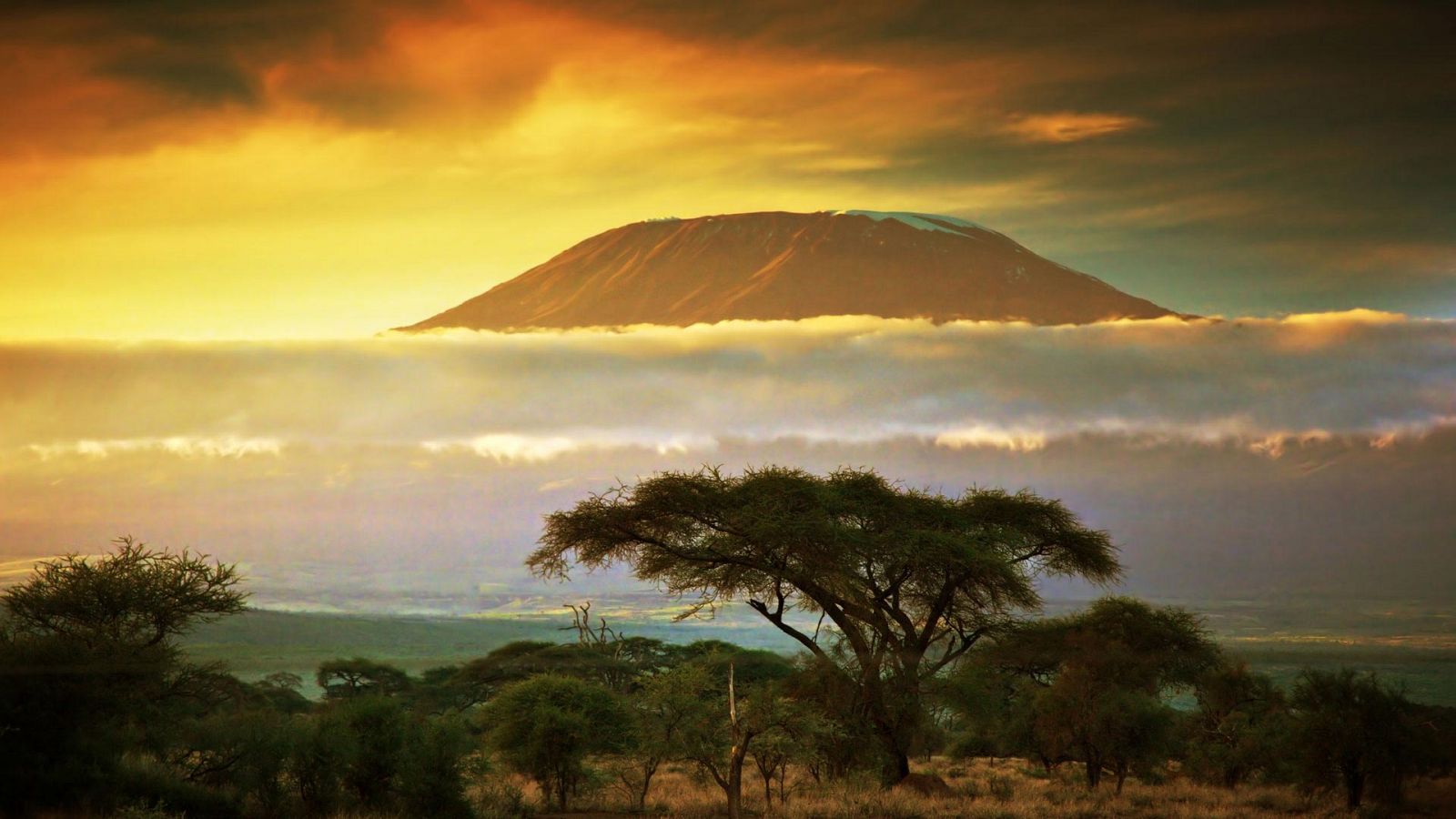 Otros documentales - Nacido explorador: Tanzania, ascenso al Kilimanjaro - Documental en RTVE