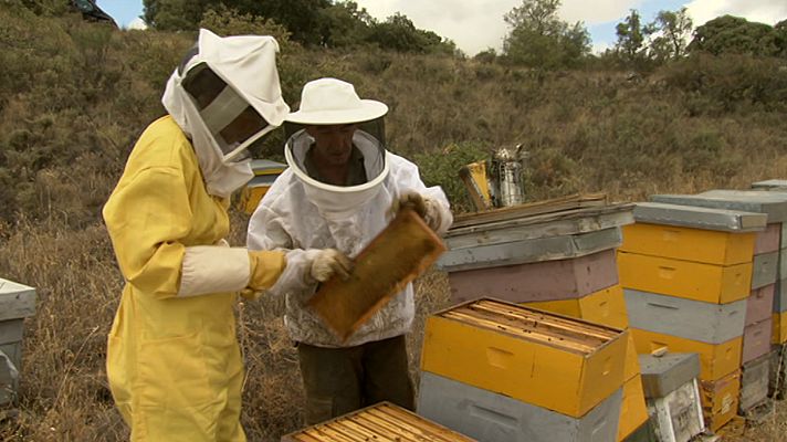 Urbanitas por el campo - Una ejecutiva por La Mancha