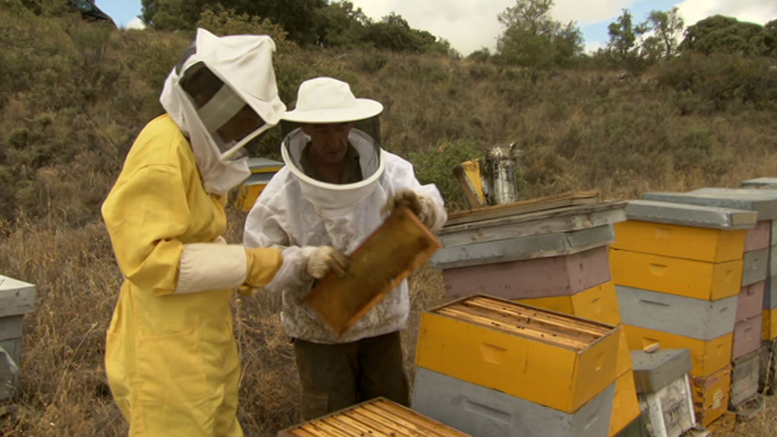 Urbanitas por el campo - Una ejecutiva por La Mancha - ver ahora