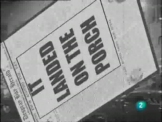  - Mascotas Papanatas