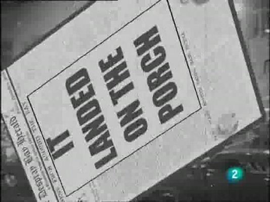  - Mascotas Papanatas