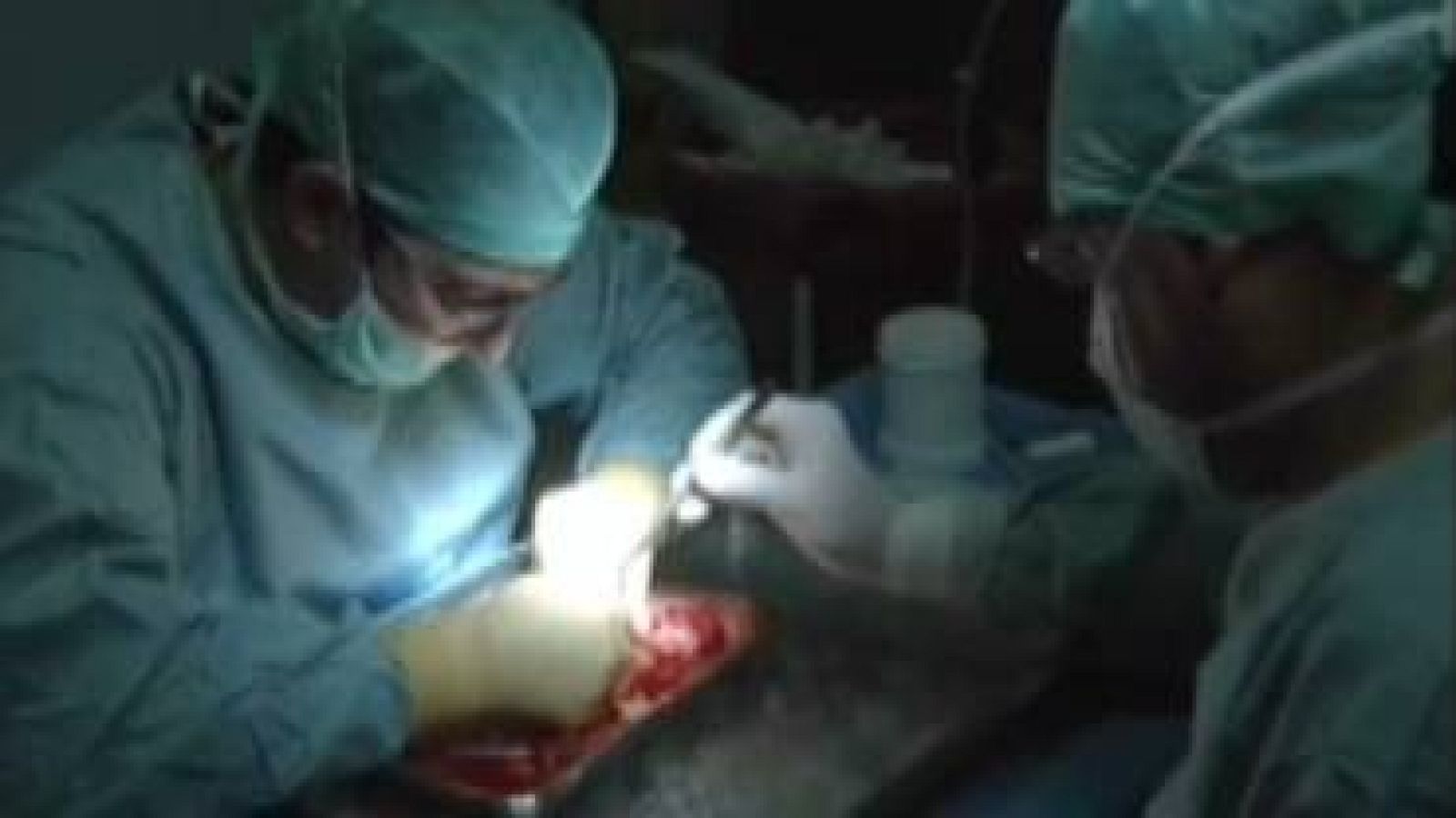 Varios trasplantados nos trasladan sus testimonios