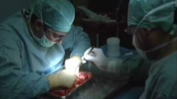 TeleCantabria - Varios trasplantados nos trasladan sus testimonios