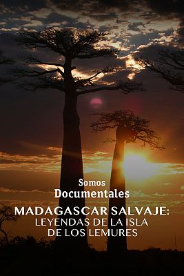 Madagascar salvaje: leyendas de la isla de los lemures