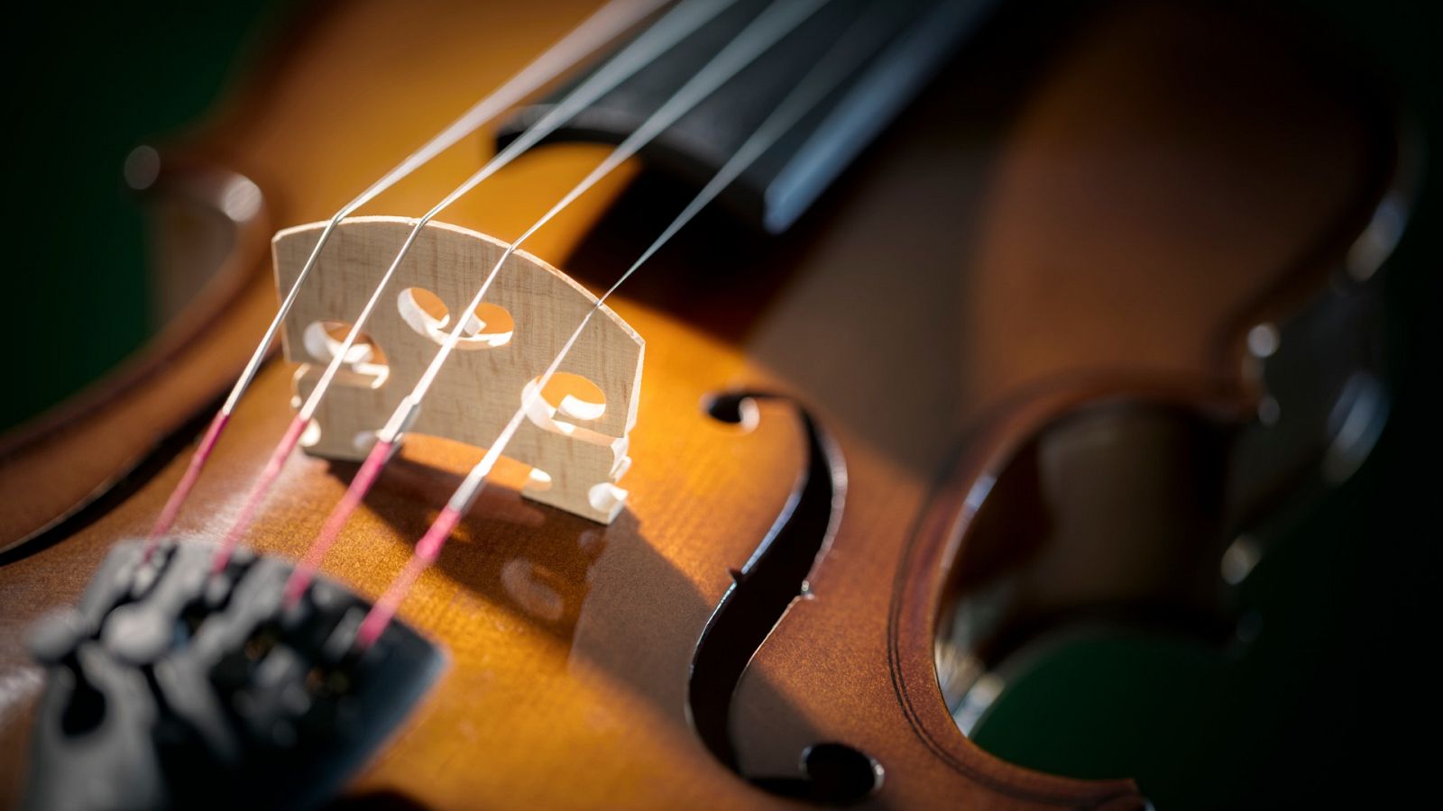 Los Mossos recuperan un violín de 200.000 euros