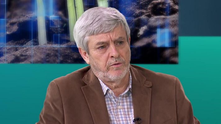 Buenas noticias TV - Twitter de Jesús: yo soy la resurrección y la vida