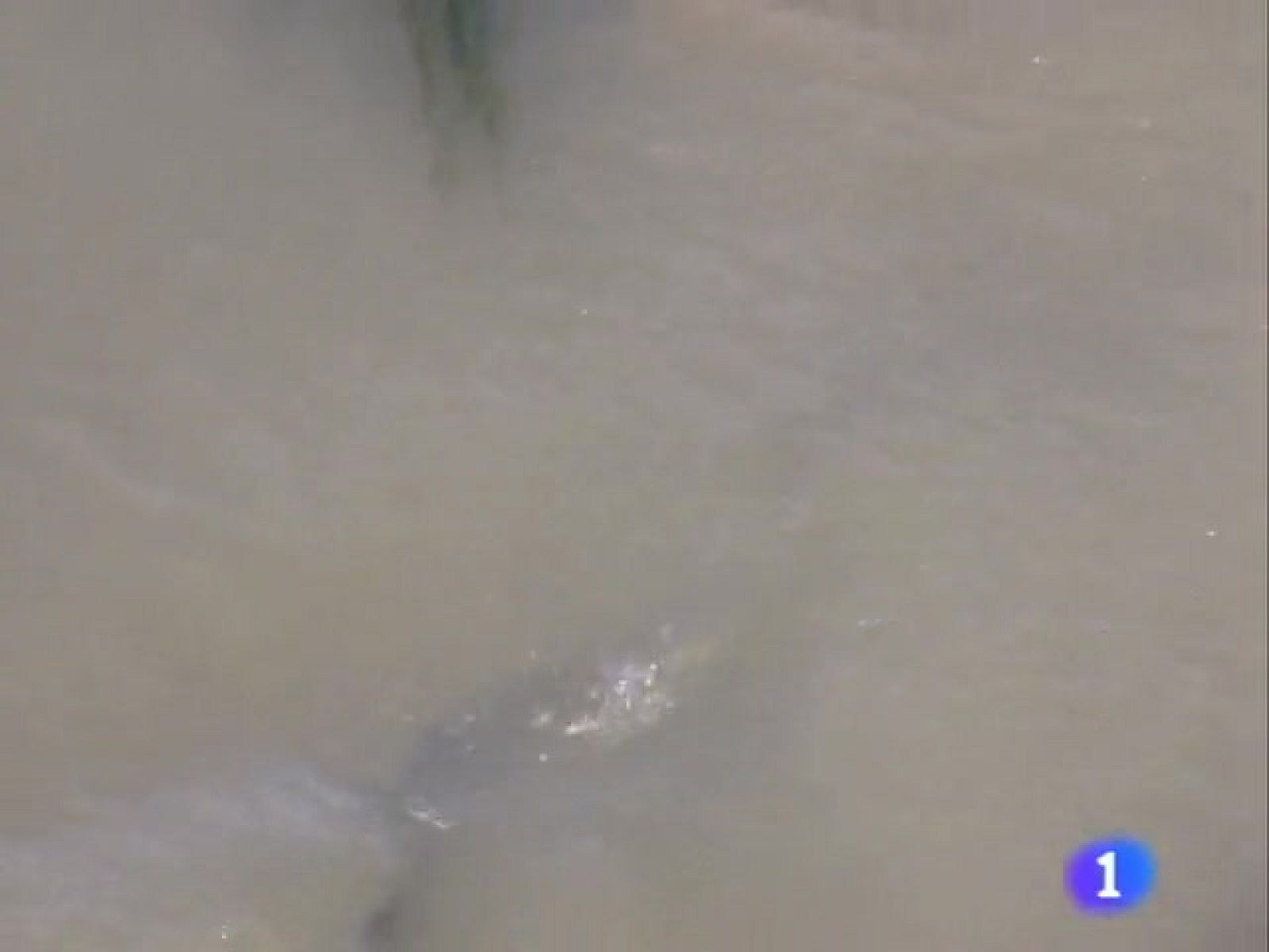 Noticias Aragón. (10/09/09)