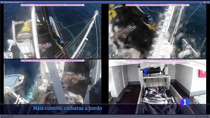 Telexornal - Galicia - A frota de baixura, contra o novo regulamento de control da UE