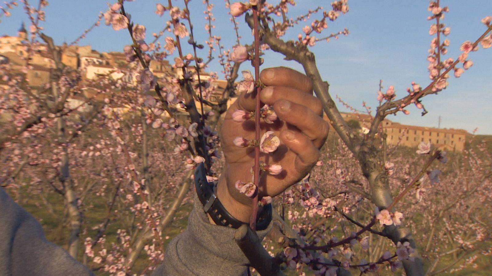 Agrosfera - 27/03/21 - ver ahora
