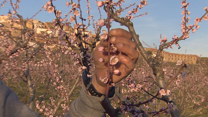 Agrosfera - Agrosfera - 27/03/21