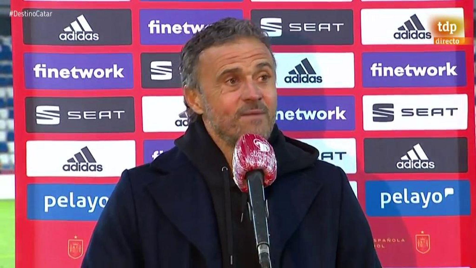 Luis Enrique: "A punto de infartar", ante Georgia | Ver