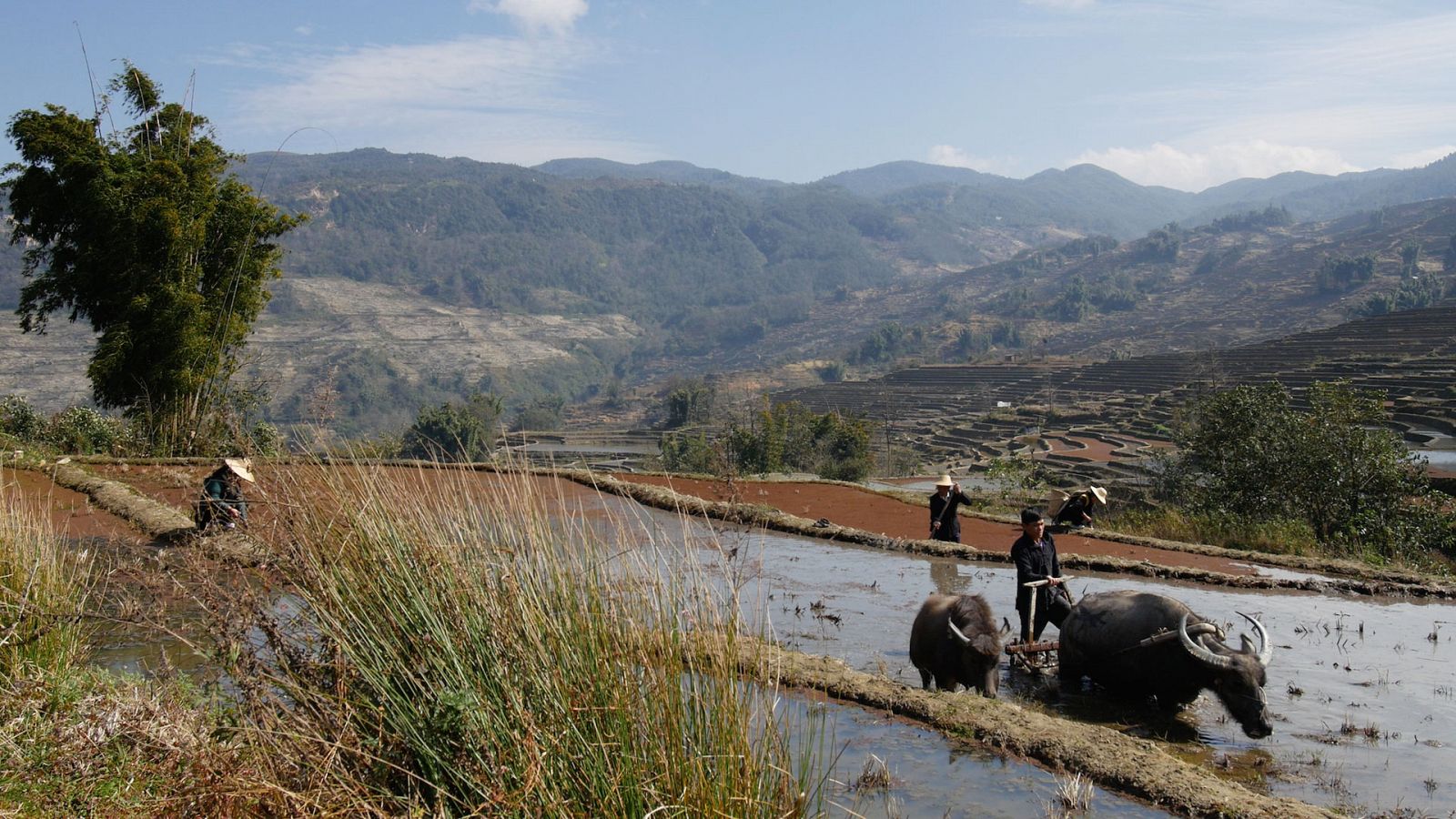 Destino China - Episodio 1: Yunnan - Documental en RTVE