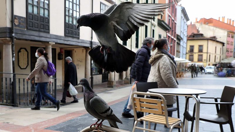 Coronavirus - Es muy difícil evitar la cuarta ola, que será la de la variante británica - Telediario 1 | Ver