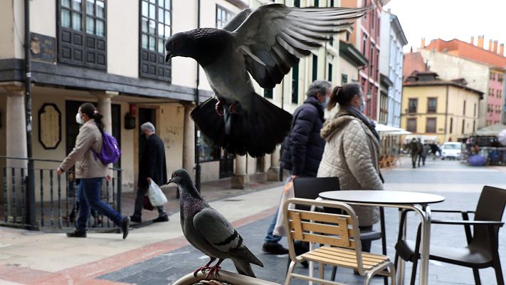 Telediario 1 - Los expertos creen que ya es muy difícil evitar la cuarta ola, y que será la de la variante británica