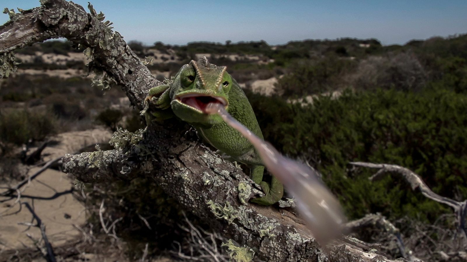 Los secretos del Mediterráneo - Episodio 2: La vida entre tres continentes - ver ahora