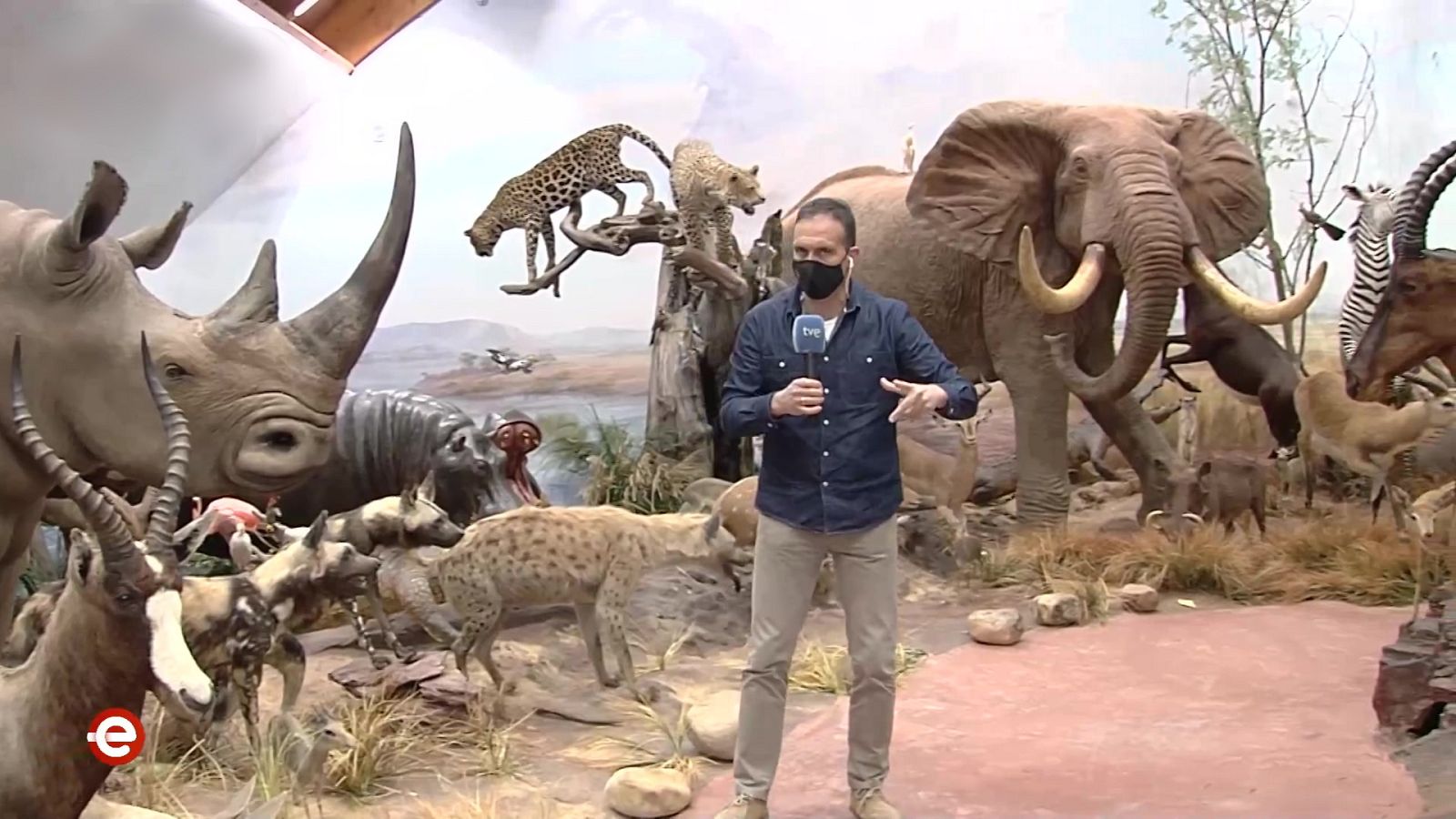 España Directo - 29/03/21 - ver ahora