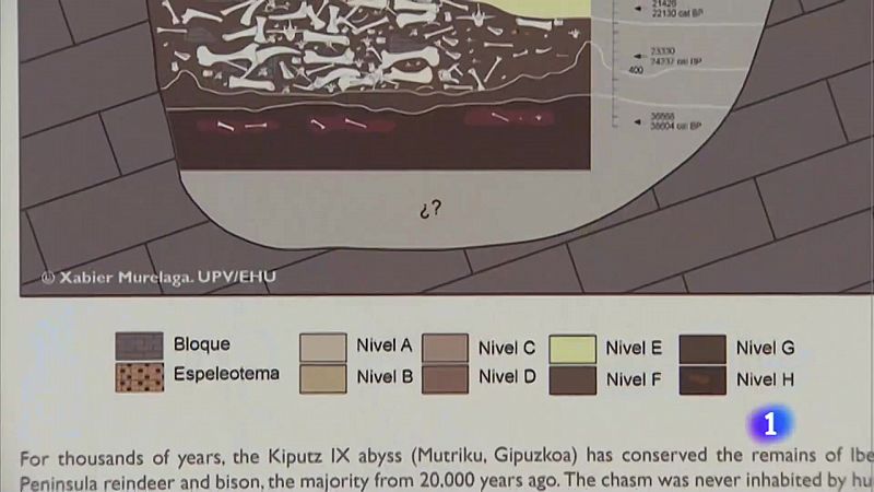 Hasta 80 animales cayeron a la sima de Kiputz, hace 20.000 años