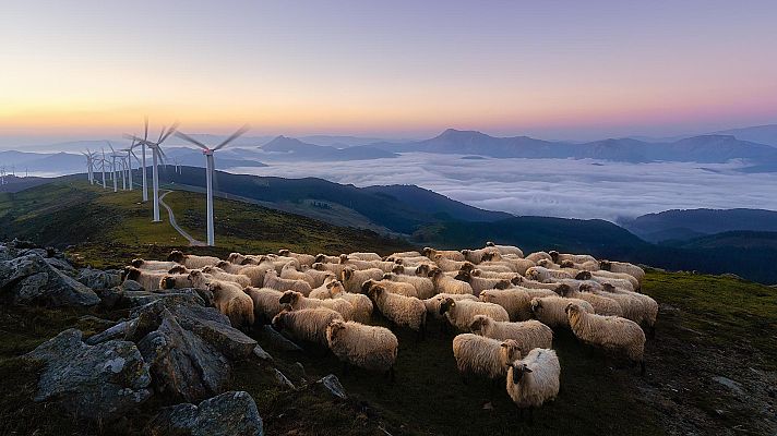 El tiempo - Viento fuerte en el Estrecho y con algunos intervalos de fuerte en el litoral vasco y el del sureste peninsular